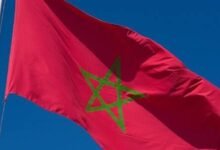 Photo of المغرب.. تفكيك خلية إرهابية بطنجة تخطط لاستهداف منشآت حيوية وأمنية
