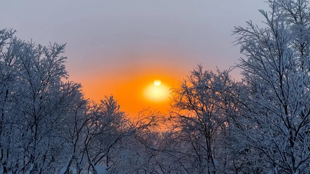 الانقلاب الشتوي أطول ليلة ونموذج عيد الميلاد - صورة مميزة صورة مميزة: الانقلاب الشتوي أطول ليلة ونموذج عيد الميلاد
