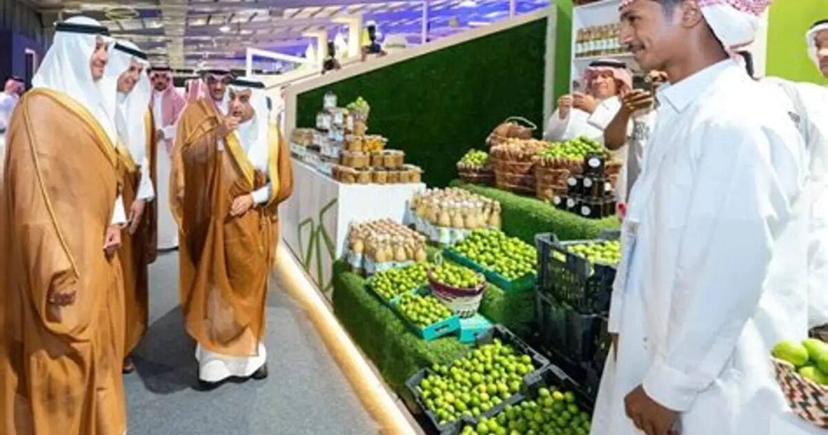 خطة تعاقدية لبنانية تهدف لخفض الهدر وزيادة تصدير الفواكه إلى الخليج