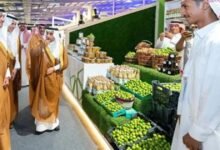 خطة تعاقدية لبنانية تهدف لخفض الهدر وزيادة تصدير الفواكه إلى الخليج
