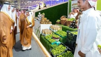 خطة تعاقدية لبنانية تهدف لخفض الهدر وزيادة تصدير الفواكه إلى الخليج