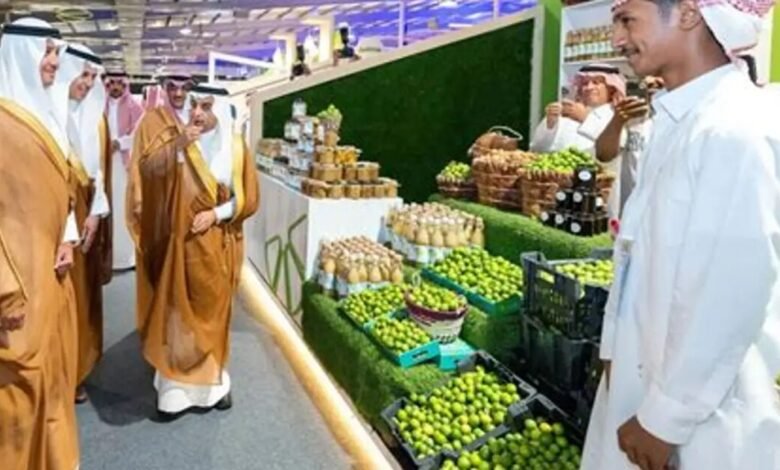 خطة تعاقدية لبنانية تهدف لخفض الهدر وزيادة تصدير الفواكه إلى الخليج