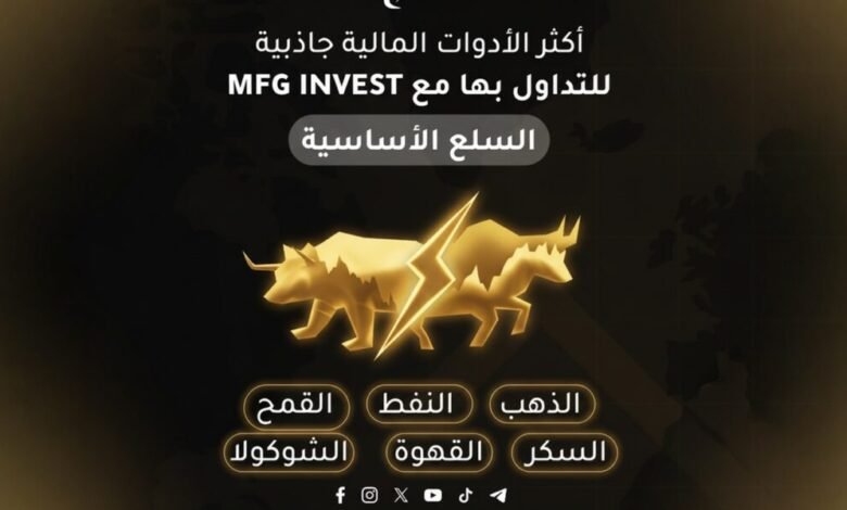 MFGINVEST توازن بين الاستثمارات قصيرة وطويلة الأجل
