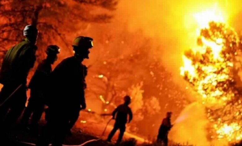 الحرائق في الجزائر تودي بحياة 34 شخصاً