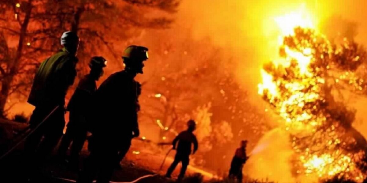 الحرائق في الجزائر تودي بحياة 34 شخصاً - صورة مميزة صورة مميزة: الحرائق في الجزائر تودي بحياة 34 شخصاً