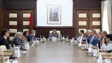 الحكومة تقر أجرة تكميلية للأساتذة الباحثين في المجالات الطبية