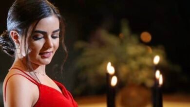 صوفي عيسى رحلة مميزة في مجال التسويق و شبكات التواصل الاجتماعي