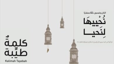 كتاب نُحْييهَا لِنَحيا يتحدث عن فضيلة الصبر