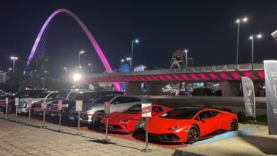 مزادات بلاتنيوم تحقق أرباحًا خيالية للمجلس الأعلى للقضاء